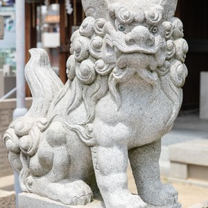 関目神社のフォトギャラリー写真016