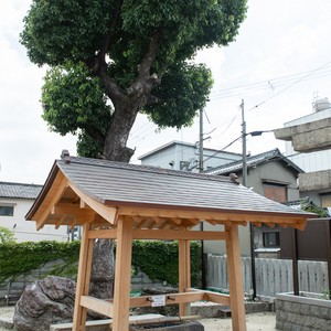 関目神社のフォトギャラリー写真019