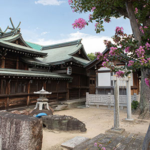 関目神社のフォトギャラリー写真028