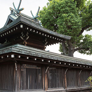 関目神社のフォトギャラリー写真033